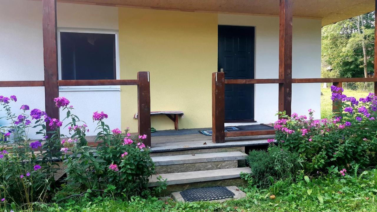 Dacha Podobovets 127 Hotel Luaran gambar