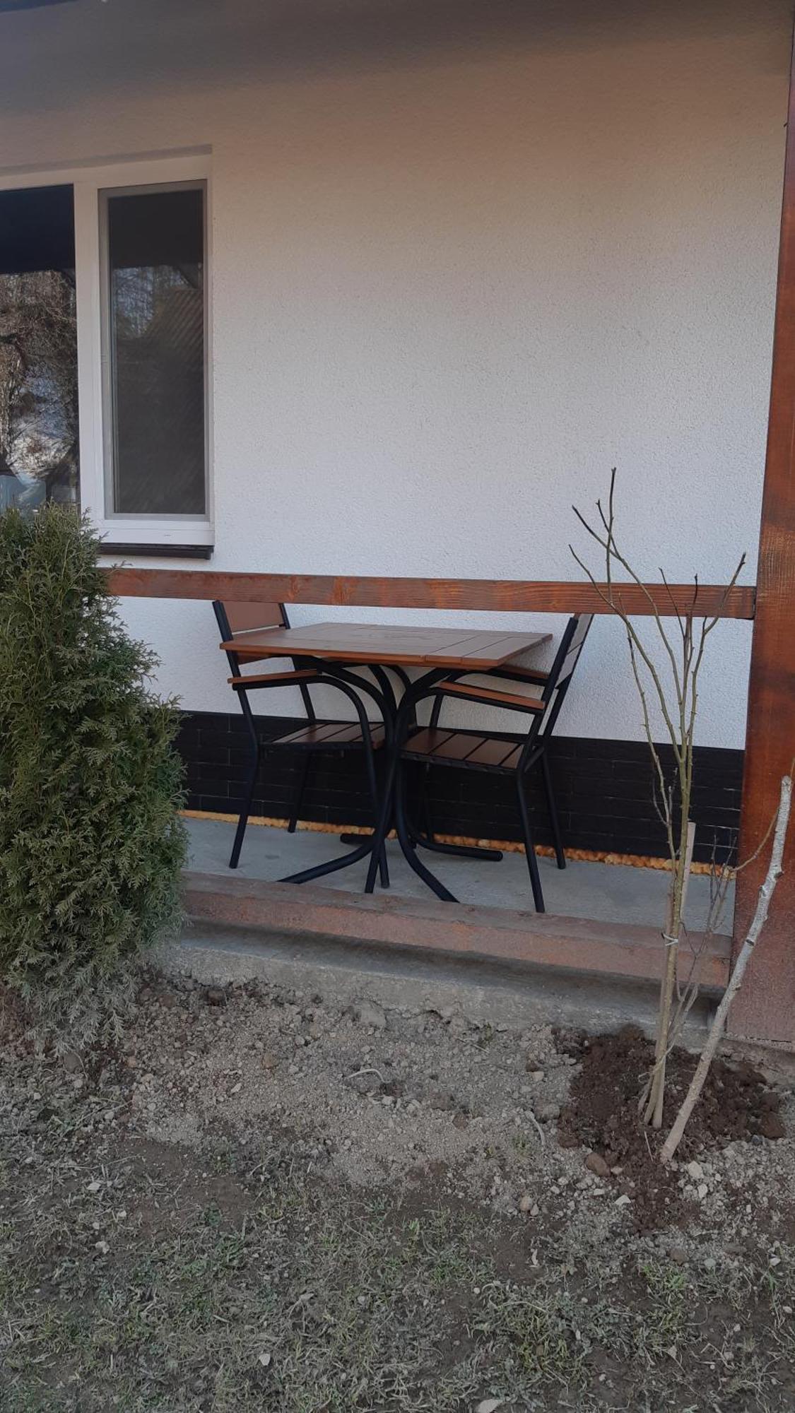 Dacha Podobovets 127 Hotel Bilik gambar
