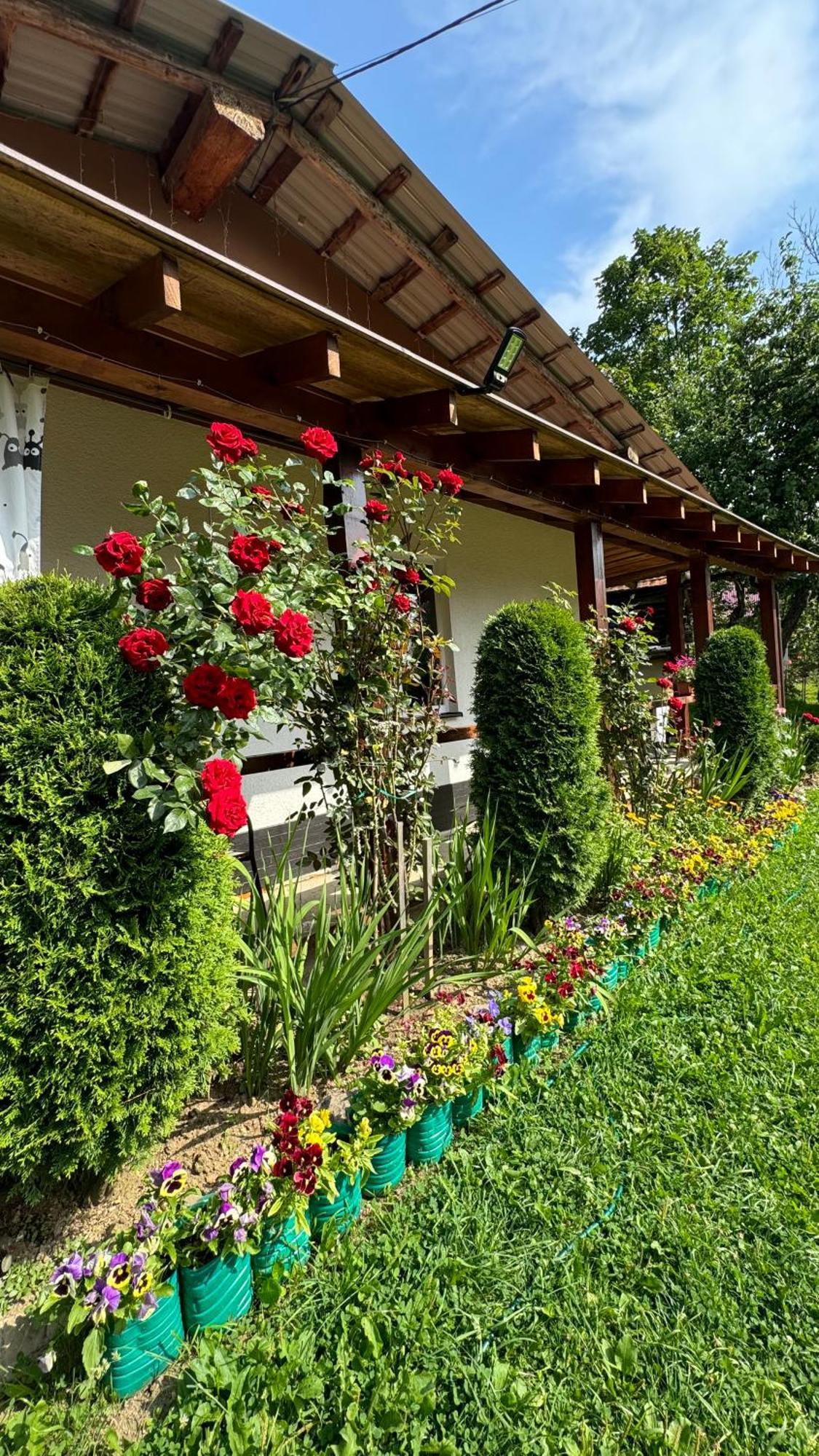 Dacha Podobovets 127 Hotel Luaran gambar