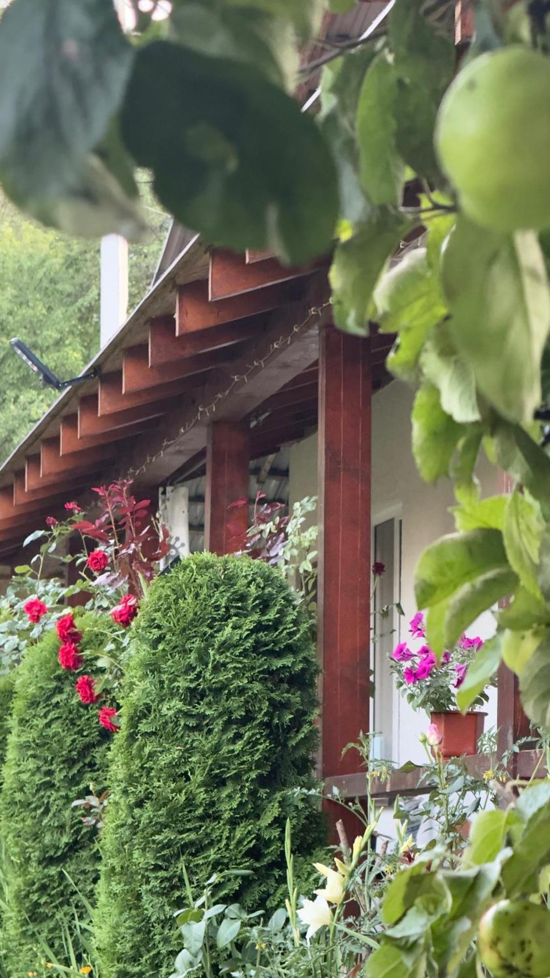 Dacha Podobovets 127 Hotel Luaran gambar